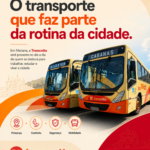 Conectando Caminhos: O Transporte que Faz Parte da Rotina da Cidade